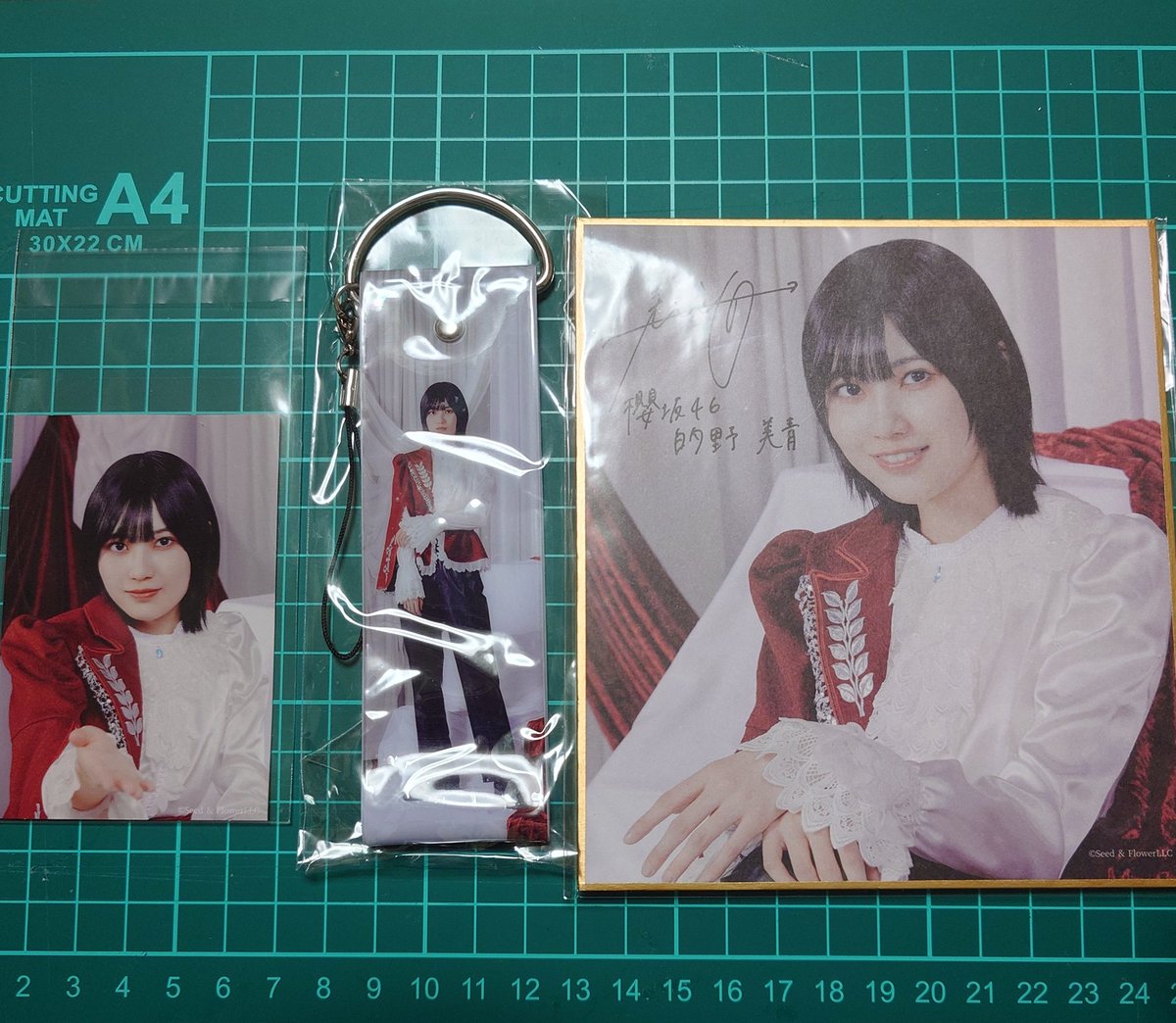 sakura_splash's tweet photo. 最近手に入れたもの
最推しメンのサクコレグッズ（メルカリ） https://t.co/qiYjEaTkGx