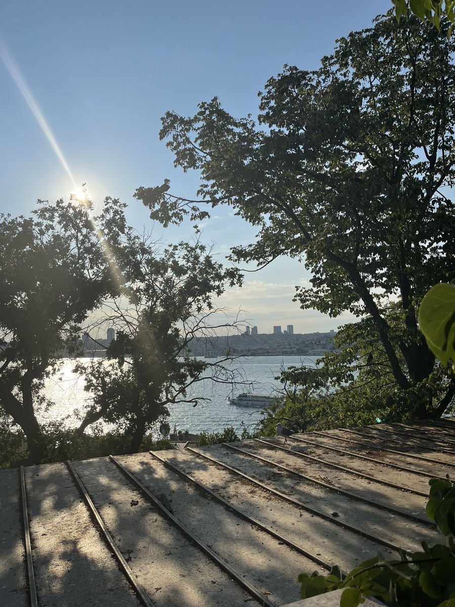 Date idea✨
📍Üsküdar/Fethi Paşa Korusu