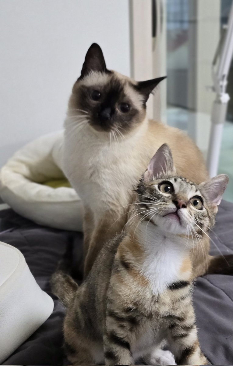 앵알 : 드디어..