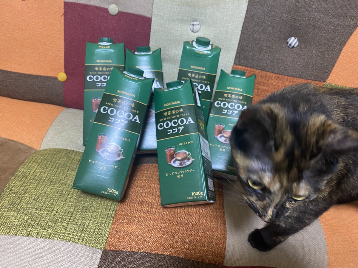 ココア - 検索 / X