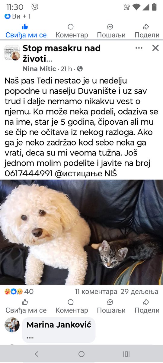 MoravskiLubenic's tweet photo. https://t.co/No17o67HD1