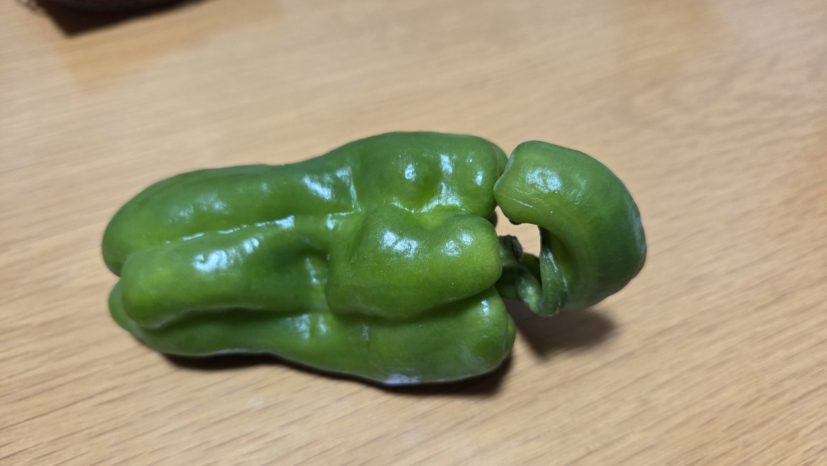 ore8dare's tweet photo. 謎ピーマン
ヘタからなにか出てる https://t.co/KivsZG2wvp