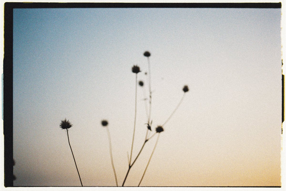 more life 🌀 #35mm