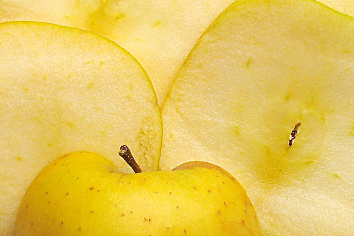 El Mot-li! d'ahir dimarts 12 d'agost era POMA, 
metode.cat/revistes-metod…
...i el d'avui dimecres 13 té 6️⃣ lletres, 
🍎 🍏 🍏 🍎 🍏 🍎
vilaweb.cat/motli/