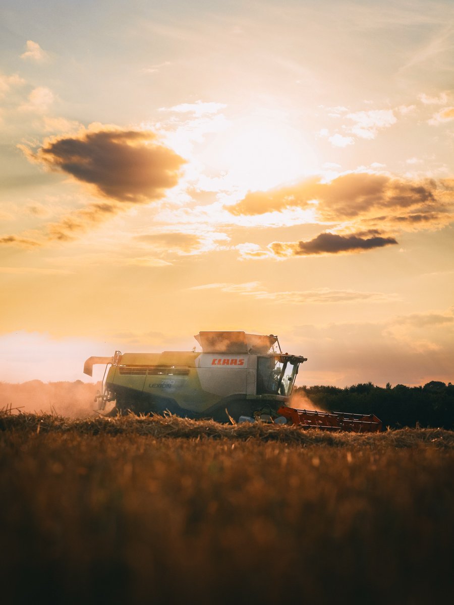 🤩 WHAT A BEAUTY!  

📸 Sam Freeman