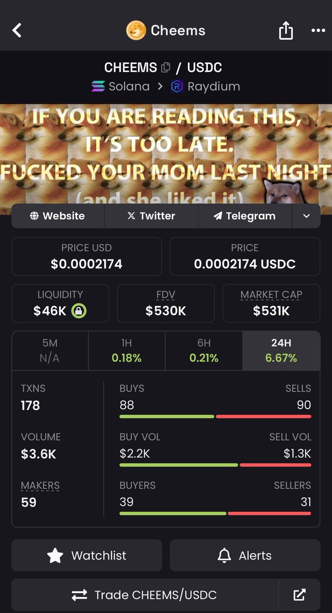 TryingOutCrypto's tweet photo. I think og $cheems sends one day during the bonk meta https://t.co/qg5cs9SNzm