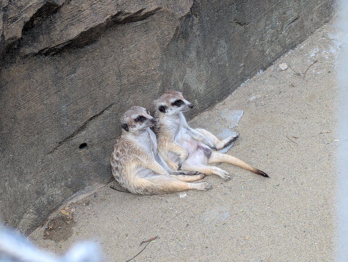 暑中お見舞申し上げます😫