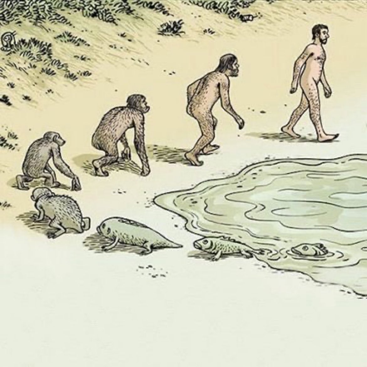 Imagine thinking this makes more sense than believing in God.

GMega <a href="/megaeth_labs/">MegaETH</a>