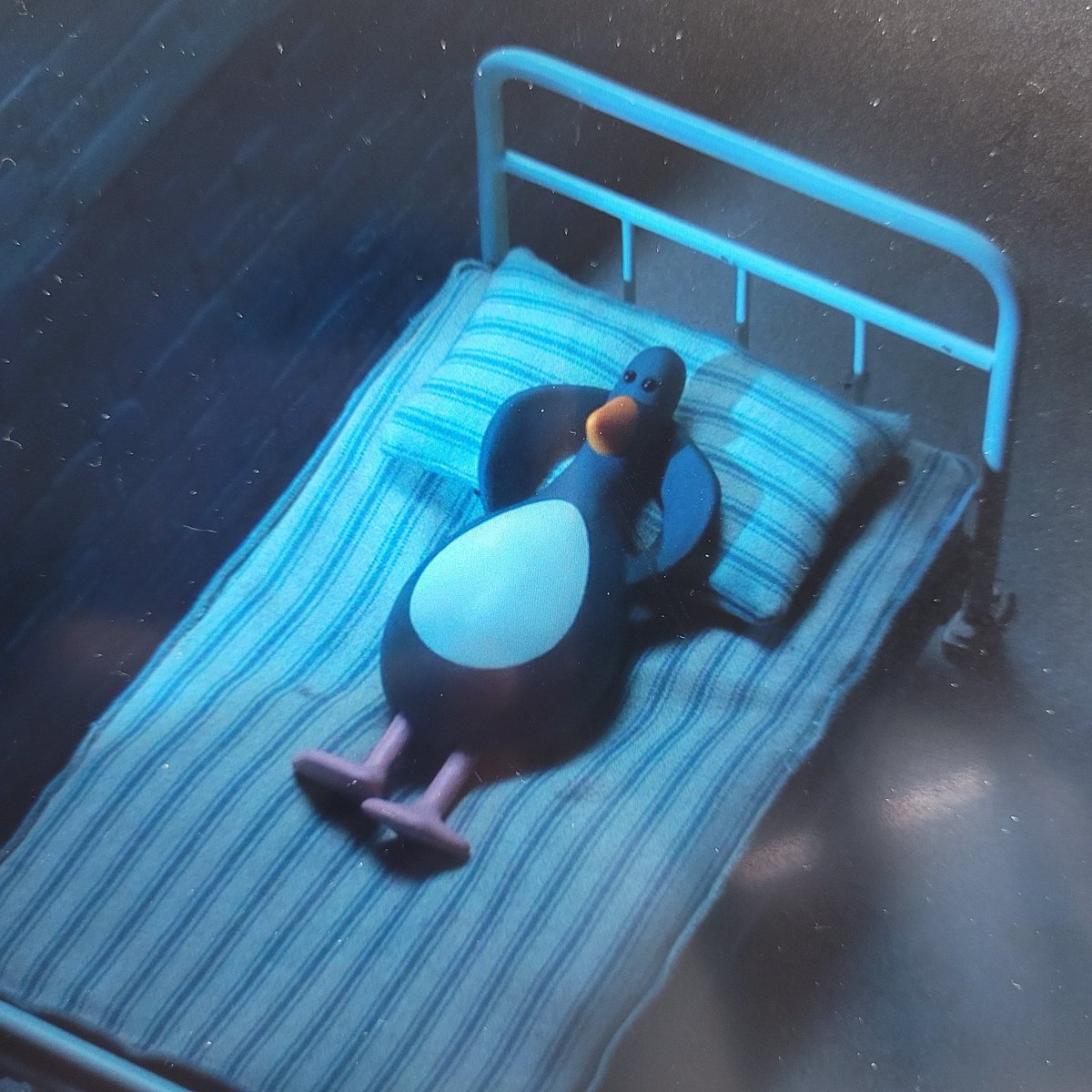 🍬 (@sucrefileee) on Twitter photo 