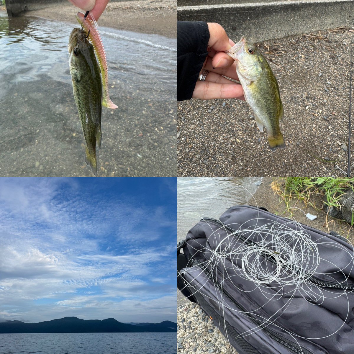 kayoko_bass's tweet photo. 8/13☆最終日

朝マヅメ昨日のとこバイトのみ🥹
移動してボウズ逃れのおマメ
せドレッドで釣れたよ〜︎💕︎︎

あっという間の3泊4日だった(*˙︶˙*)ﾉ"💕

#BOCフォトコン
#釣り人が入れば水辺は綺麗になる
#LUV2PLNT
#BASSHACK89 https://t.co/DCTPho7EX9