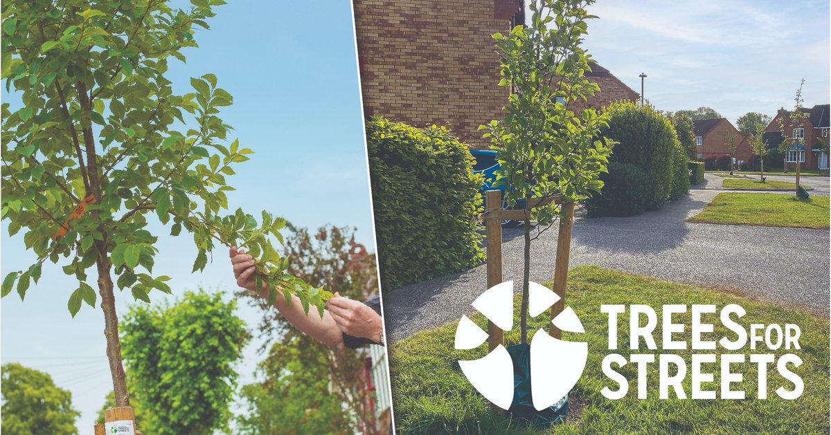GlasgowCC's tweet photo. We’ve teamed up with @TreesforStreets to make it easier for residents, groups and businesses to sponsor new street tree planting in local neighbourhoods. 

Sponsors can even choose the location of the new tree, subject to a site survey.

More 👉 https://t.co/eTiMG2Kl6U https://t.co/lOaNfR84oc