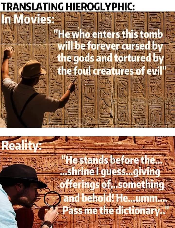 CSMFHT's tweet image. 