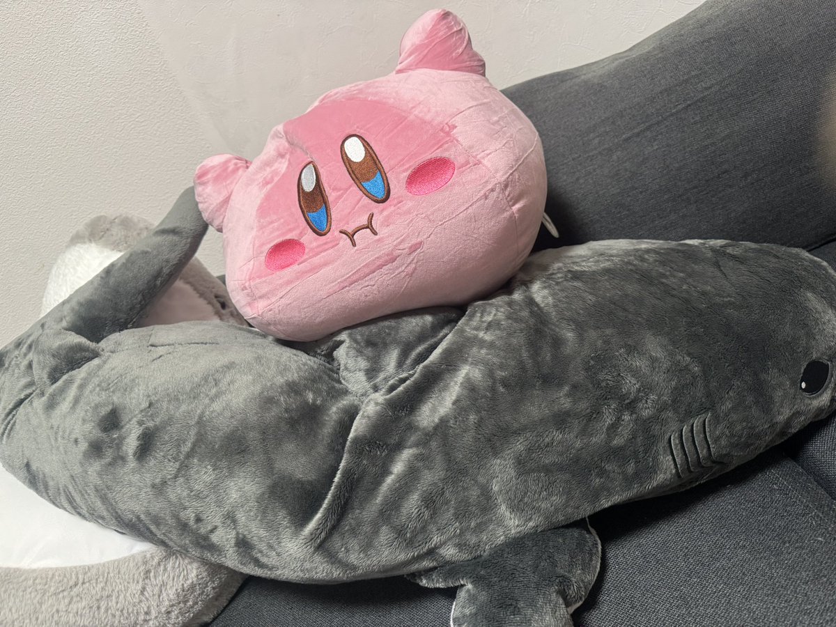 今日の戦利品！
🦈( '-' 🦈)ｻﾒｯﾃｨ
カービィ( ⊃'-'⊂ )