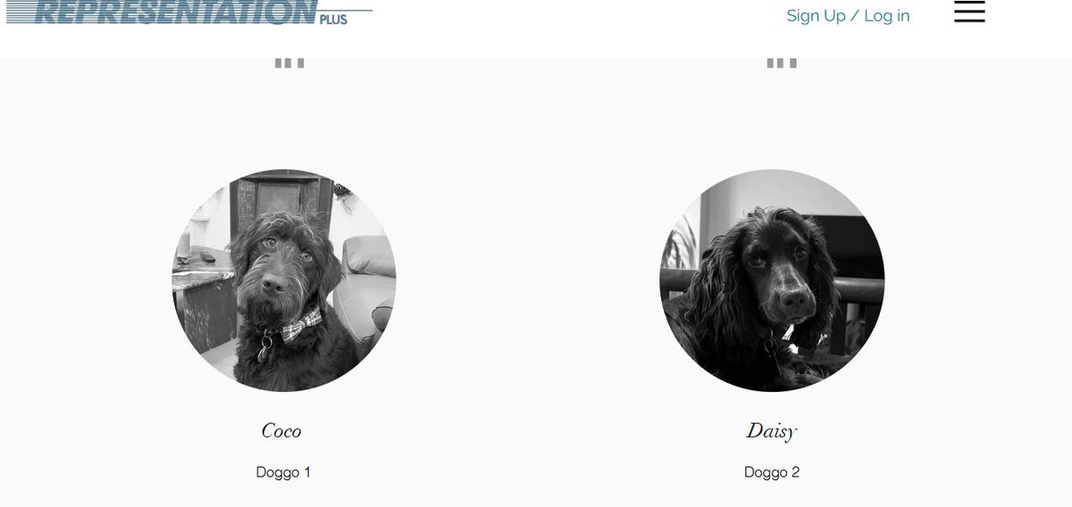 RepPlusUK's tweet image. We’ve been a dog-friendly office since 1995 🐾 From Cormack the door-opening Gordon Setter to Coco &amp;amp; Daisy today buff.ly/p2OCNif 🐶 Read TTG’s pawsome feature on office pups: buff.ly/9XCMv9g #RepPlus #OfficeDogs #TravelIndustry