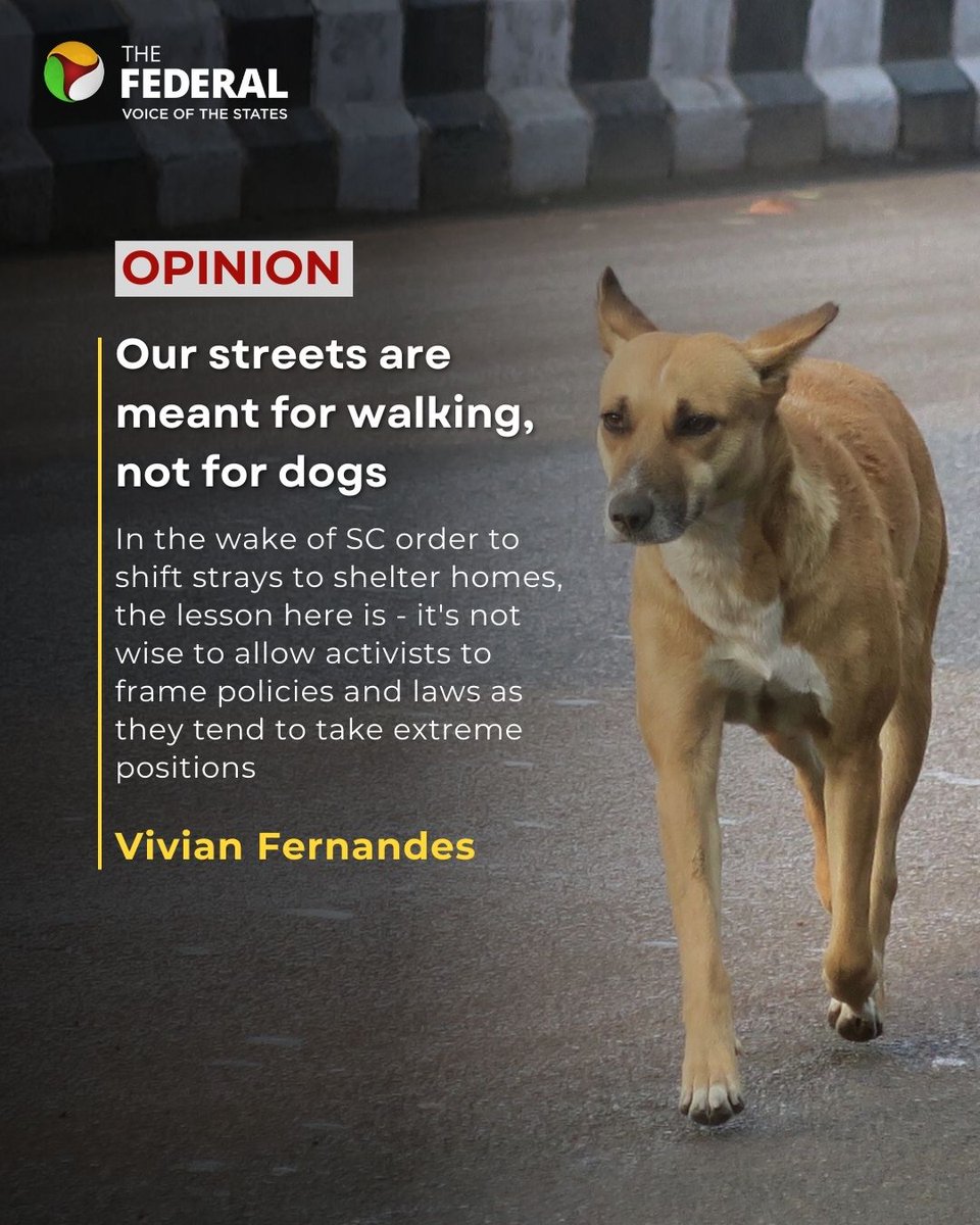 #Opinion | Dogs can be kept as pets in flats, houses, and compounds, leashed or otherwise, but they cannot be abandoned on roads to fend for themselves or depend on benevolence, writes @vvnfernandes.

Read more: thefederal.com/category/opini…

#StrayDogs #SC #AnimalRights #Delhi
