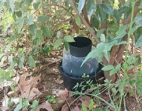 TeleBoadilla (@teleboadilla) on Twitter photo Boadilla refuerza la vigilancia contra el mosquito tigre: teleboadilla.com/boadilla-refue… #Boadilla <a href="/Ayto_Boadilla/">Ayuntamiento de Boadilla del Monte</a> Boadilla refuerza la vigilancia contra el mosquito tigre: teleboadilla.com/boadilla-refue… #Boadilla <a href="/Ayto_Boadilla/">Ayuntamiento de Boadilla del Monte</a>