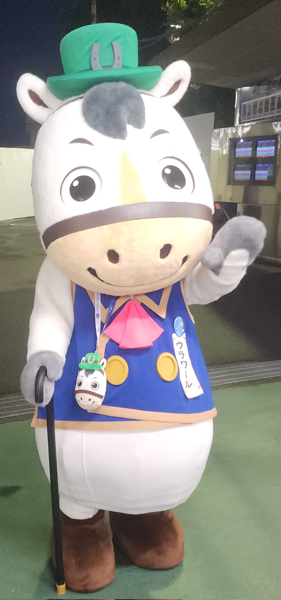 さくさく🐎 on X: 