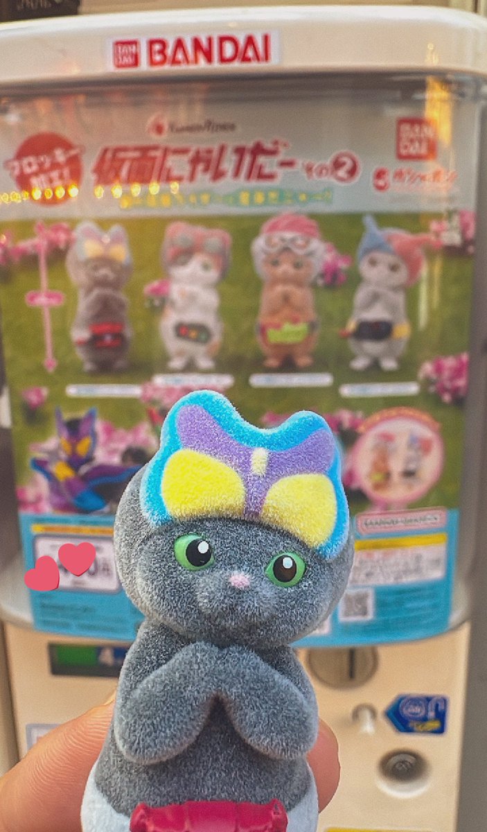 どうも、はじめまして🐾
#1回で来てくれました
#仮面にゃいだー