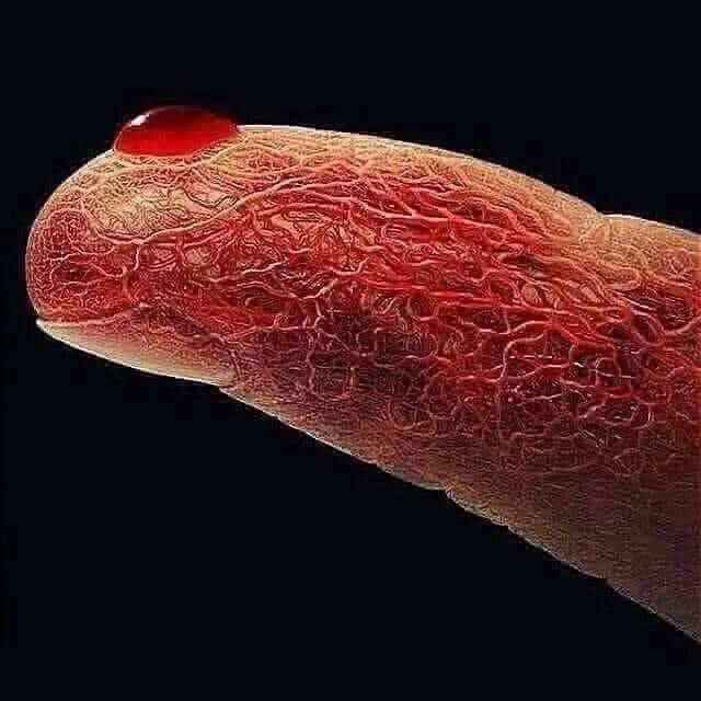 AGE IS NOT IN YOUR DNA

The concept of aging, as society understands it, is one of the greatest myths humanity has perpetuated. 

We are conditioned from birth to believe in a linear progression of decline—that growing older inherently means deteriorating physically and mentally.