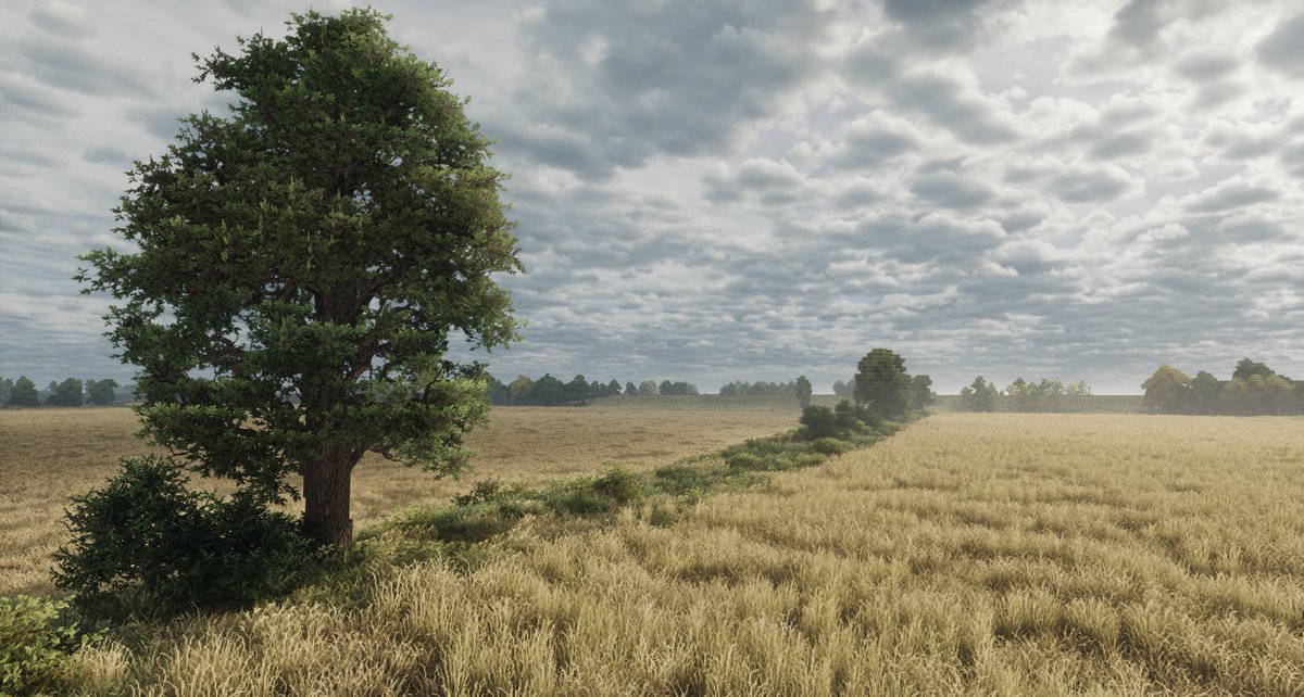 New map available!
planetminecraft.com/project/grainf…
 #minecraft #conquestreforged