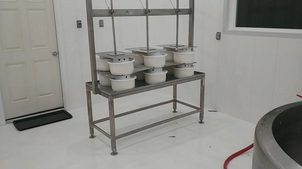 Our client in Canada 🍁 using our equipments to make cheese 🧀 🍀

This is your sign to get ANTE BV milk processing equipments🥛

#antebv #milkprocessing #farmequipments #cheese #dairyfarming