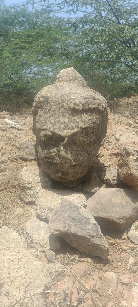 Kshatrap (𑀔𑀢𑀧) tweet media