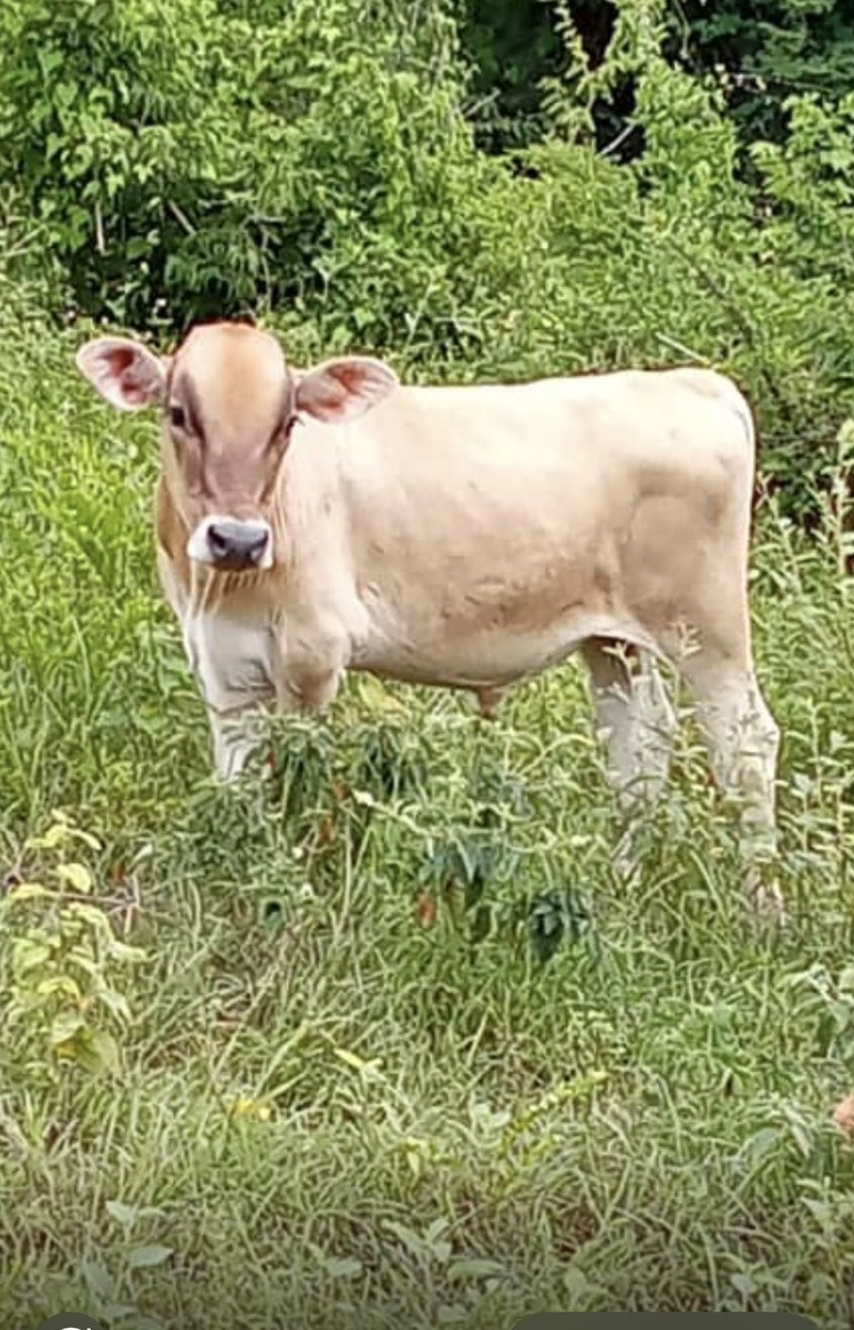 Brice (@bricebauza) on Twitter photo 