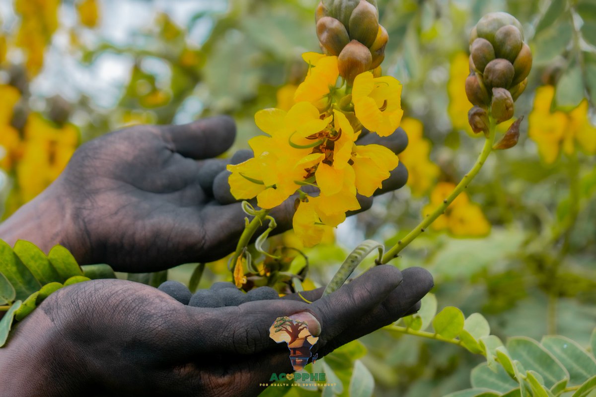 AfricaCommunity tweet media