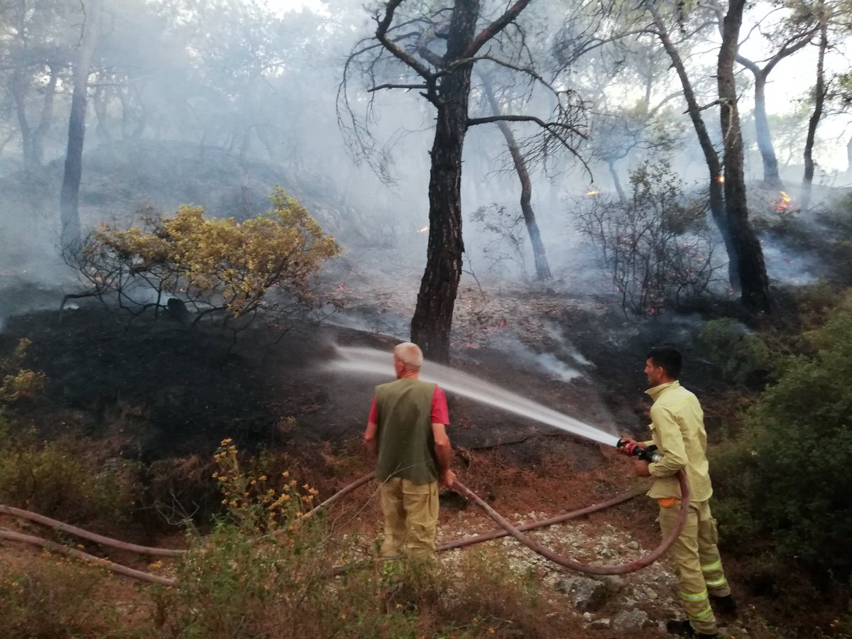 İsmail Bekar (@fire_ecologist) on Twitter photo Bu sene neden çok kötü yangınlar yaşıyoruz?
Türkiye’de her yıl yangınlar çıkar, ancak bazı senelerde daha fazla, bazı senelerde daha az olur. Bu değişkenlik iklim, hava durumu, insan faaliyetleri gibi pek çok faktöre bağlıdır.
📷:<a href="/mehmet_goktu/">Mehmet Göktuğ</a> Bu sene neden çok kötü yangınlar yaşıyoruz?
Türkiye’de her yıl yangınlar çıkar, ancak bazı senelerde daha fazla, bazı senelerde daha az olur. Bu değişkenlik iklim, hava durumu, insan faaliyetleri gibi pek çok faktöre bağlıdır.
📷:<a href="/mehmet_goktu/">Mehmet Göktuğ</a>