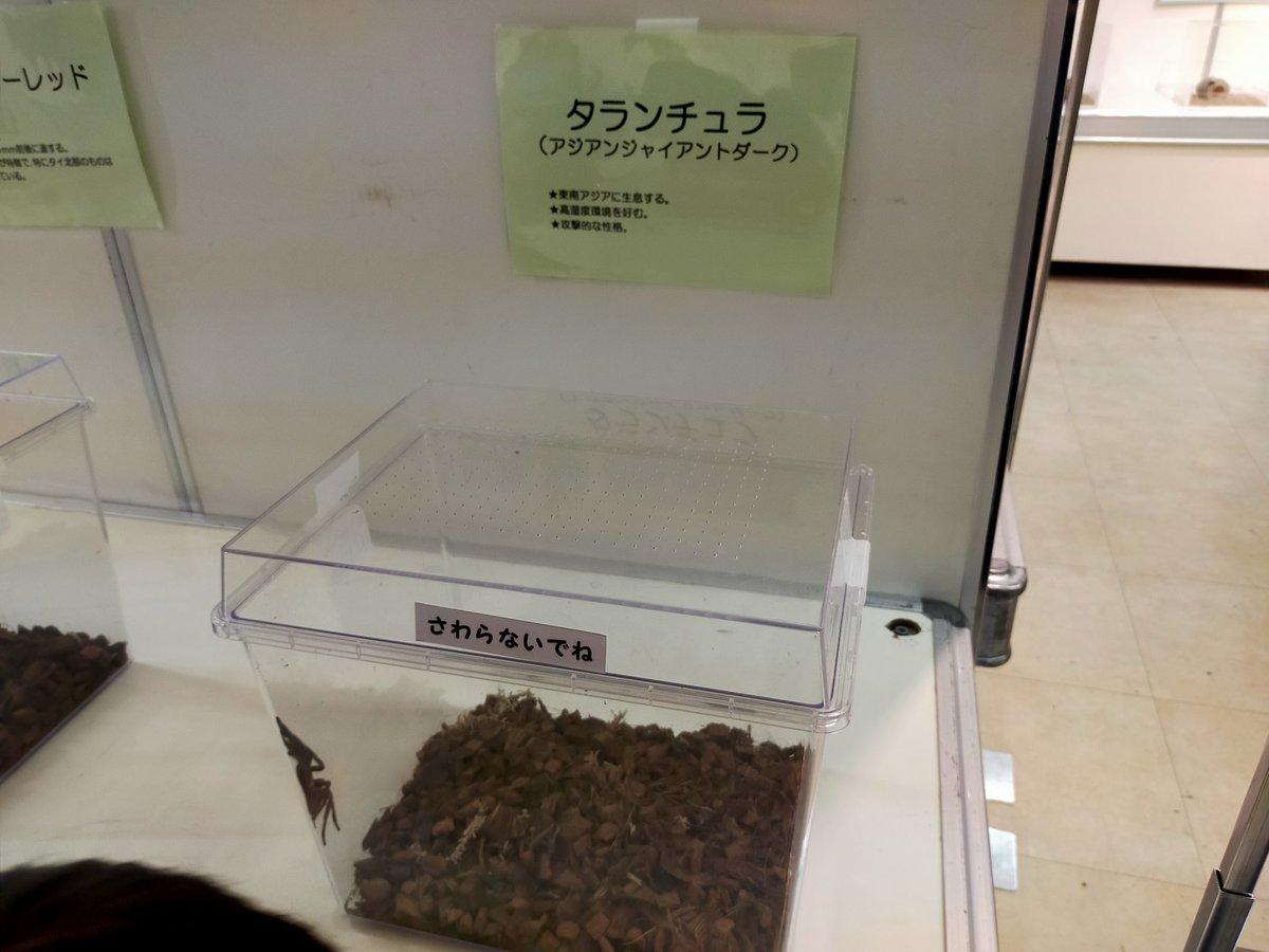 マロンページ MONO graph モノグラフ アッシュカラー Ash COLOR ボールペン