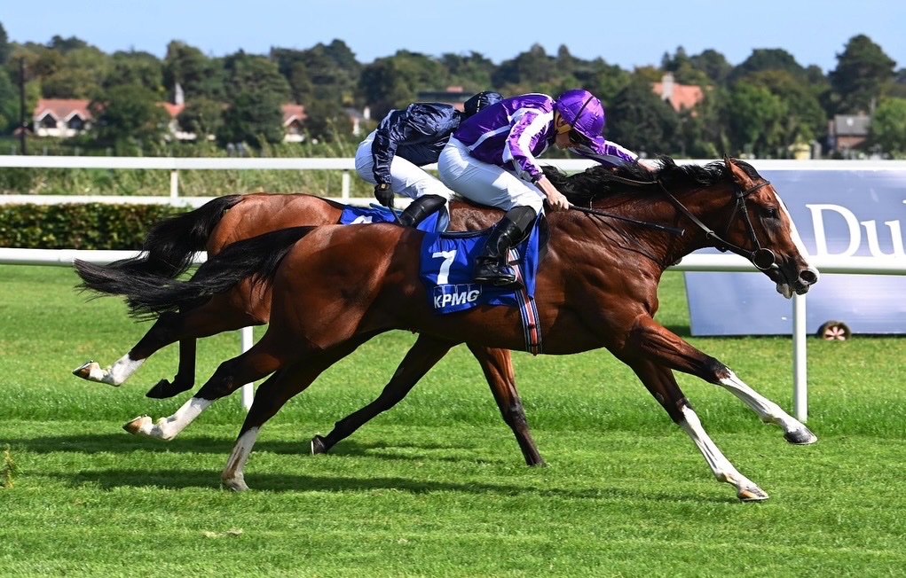 NatStudStallion tweet picture
