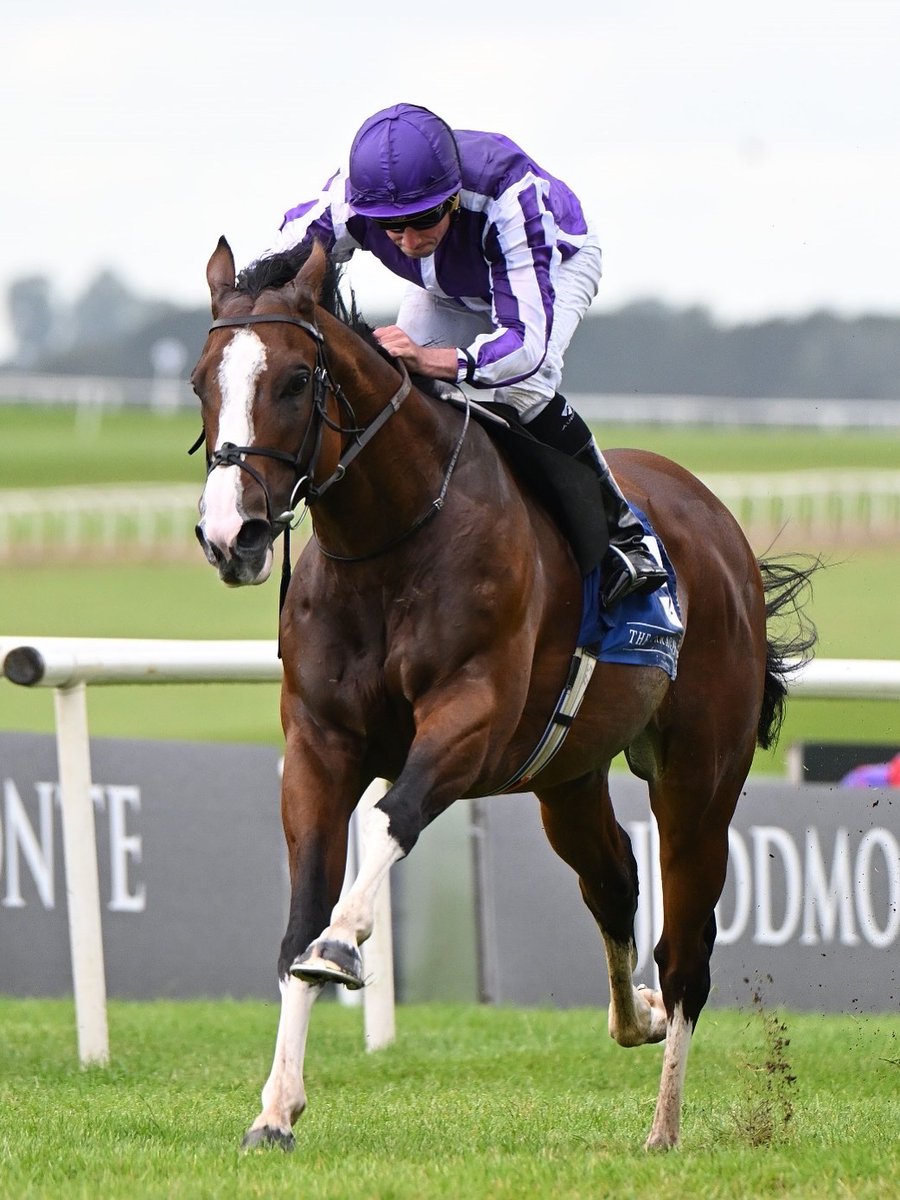 NatStudStallion tweet picture