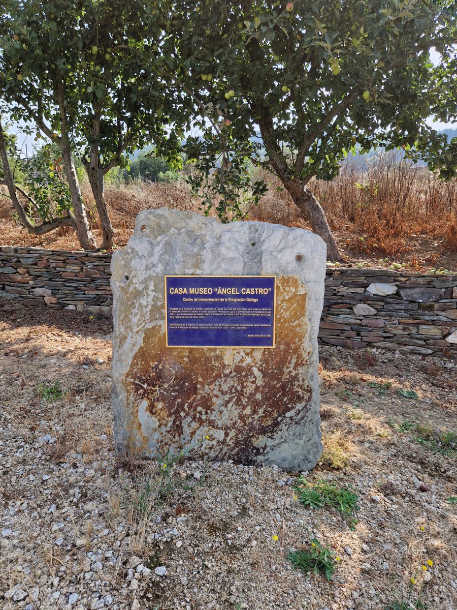 Hoy tendremos el privilegio de proclamar, en Láncara, España, el lanzamiento del Año del Centenario del Natalicio de Fidel.