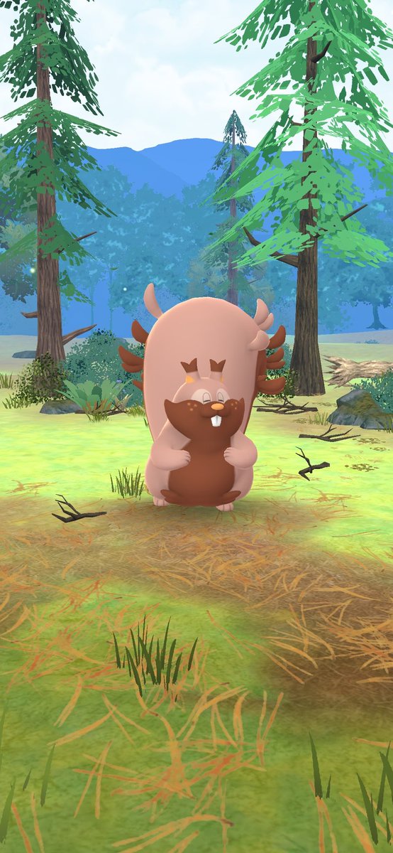 初めて野生のヨクバリス見つけた〜！！
本当に可愛いなぁ🐿️💕