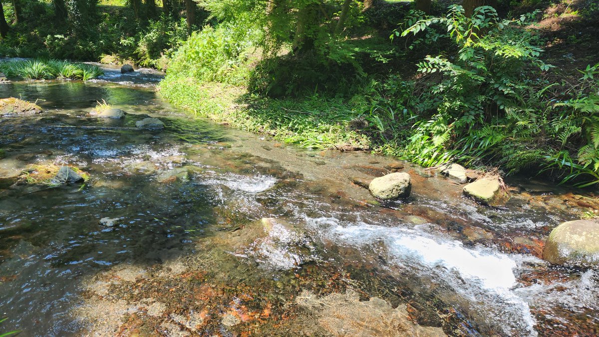 cwf19606's tweet photo. 水源行ってきた夏だけど涼しいね(><) https://t.co/ubsBTdlhaw