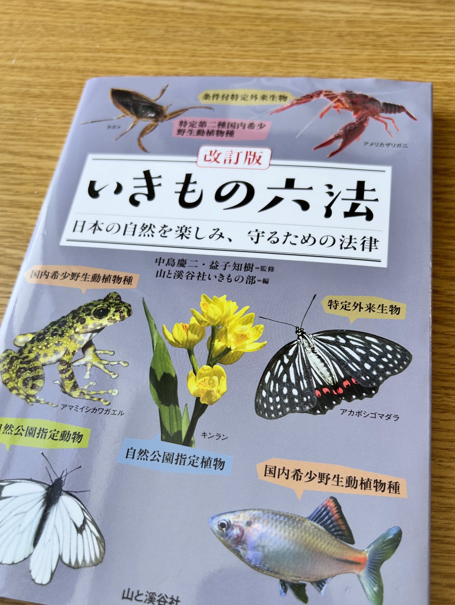 Shin@獣医病理学者 (@Shin80038016) / X