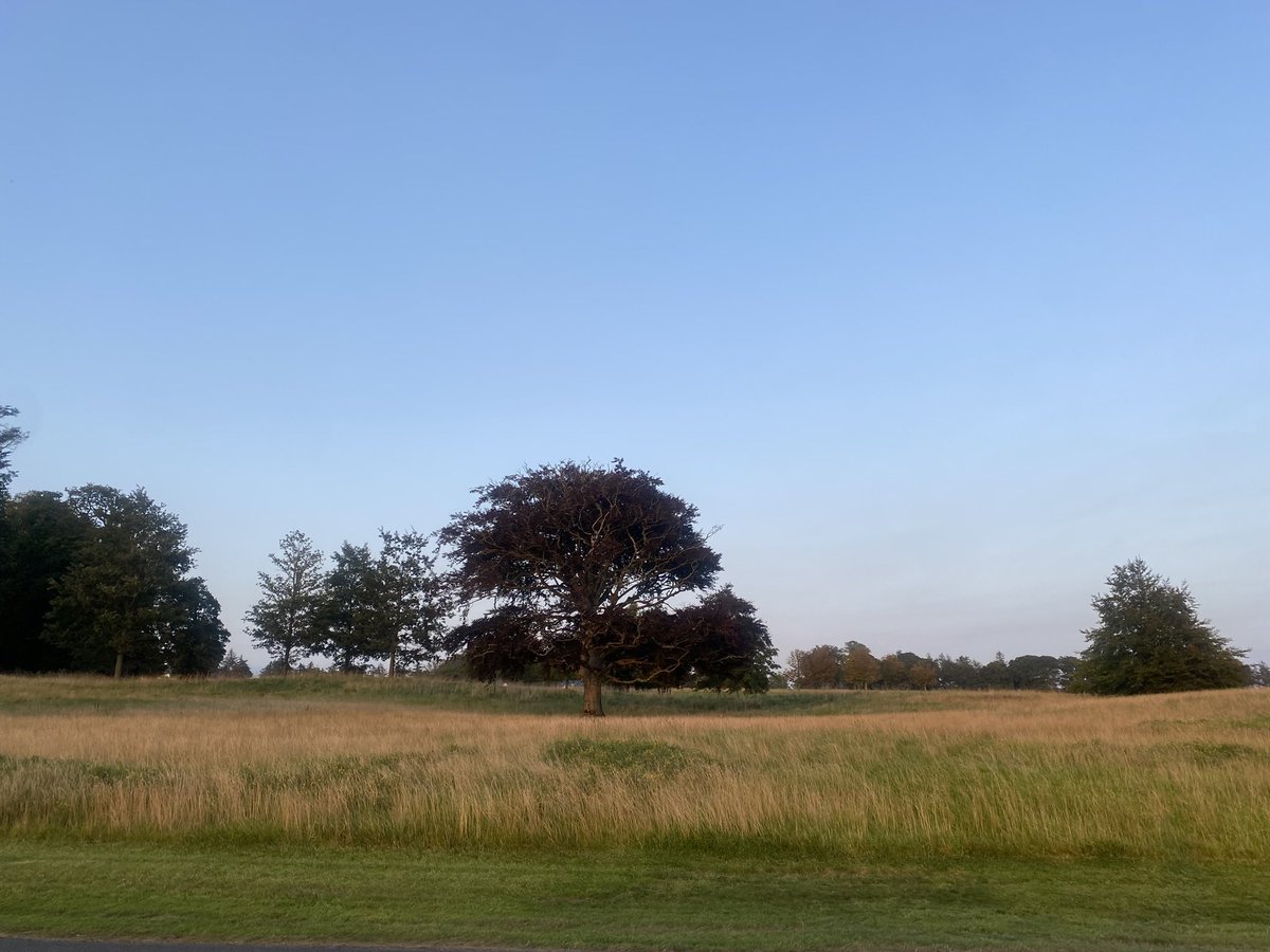 AlisonTodayFM's tweet photo. You are stunning #meath #countymeath https://t.co/T4spHxkOxe