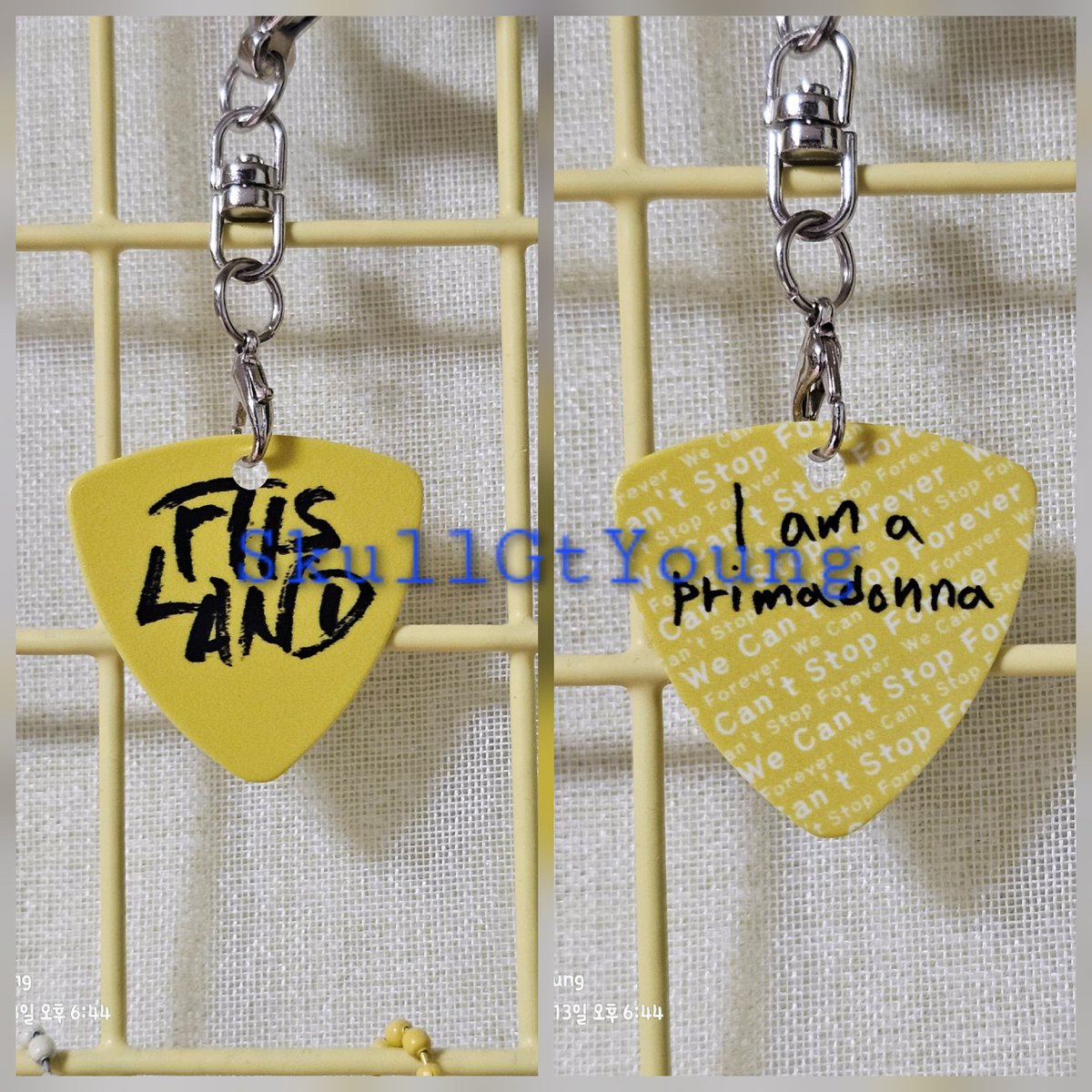 실물 공개 두둥탁