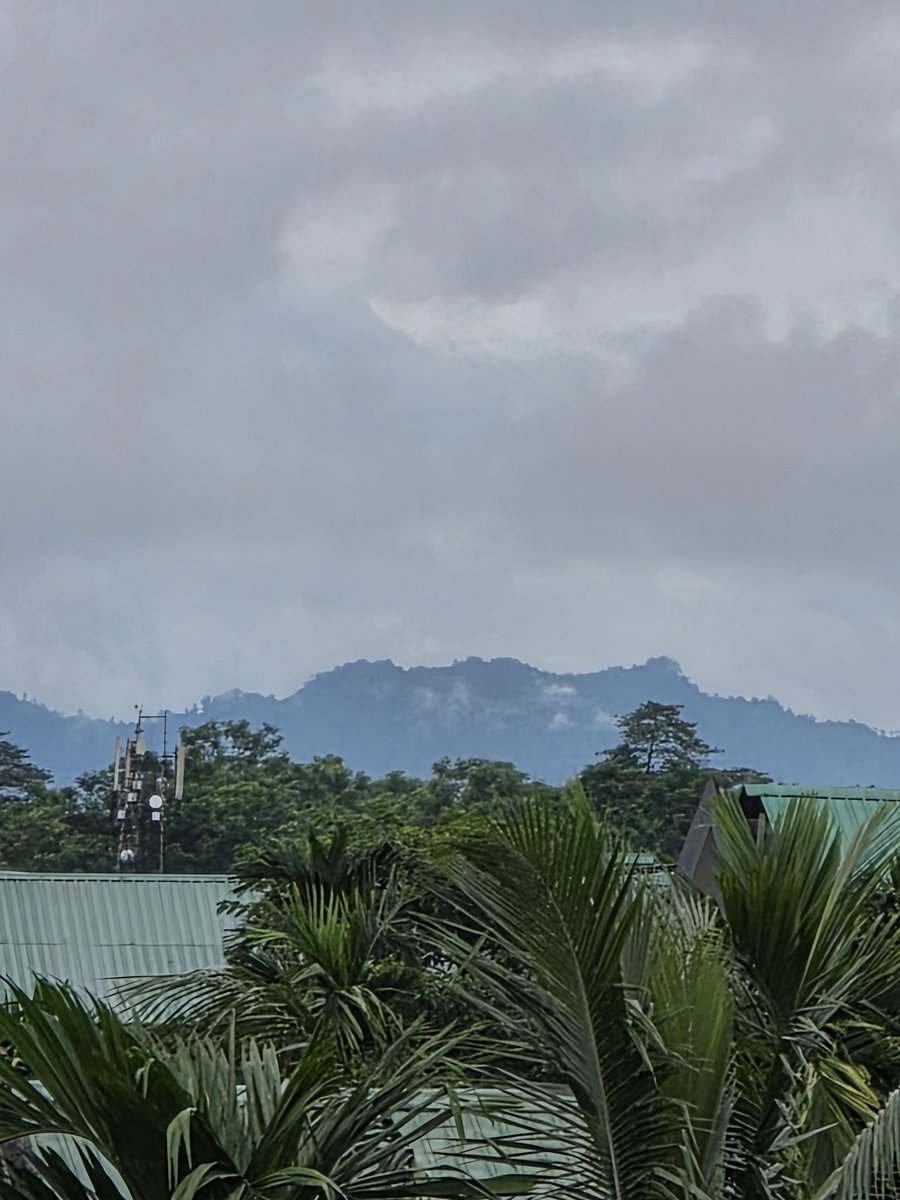 amritashya's tweet image. A few 30x zoom pics after the August update. Share your thoughts, friends. It's a cloudy and rainy day. 📸🌧️🤔 #ZoomPics #AugustUpdate #CloudyDay #RainyDay #oneui7