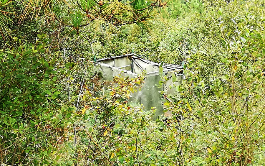 Ehizarako foru agindu berriaren kontrako errekurtsoa jarri du Eguzkik, agindu berriak "kontuan hartu behar ziren inguruabar eta gertakari  garrantzitsuak alde batera uzten" baitituelako haien ustez

#Lezo 
oarsoaldea.hitza.eus/2025/08/13/ehi…