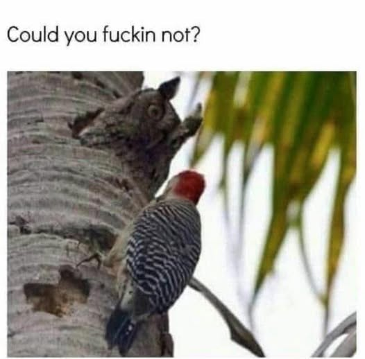 Me coming at <a href="/RuggedDrifter/">John Sullivan</a> with my bullshit.