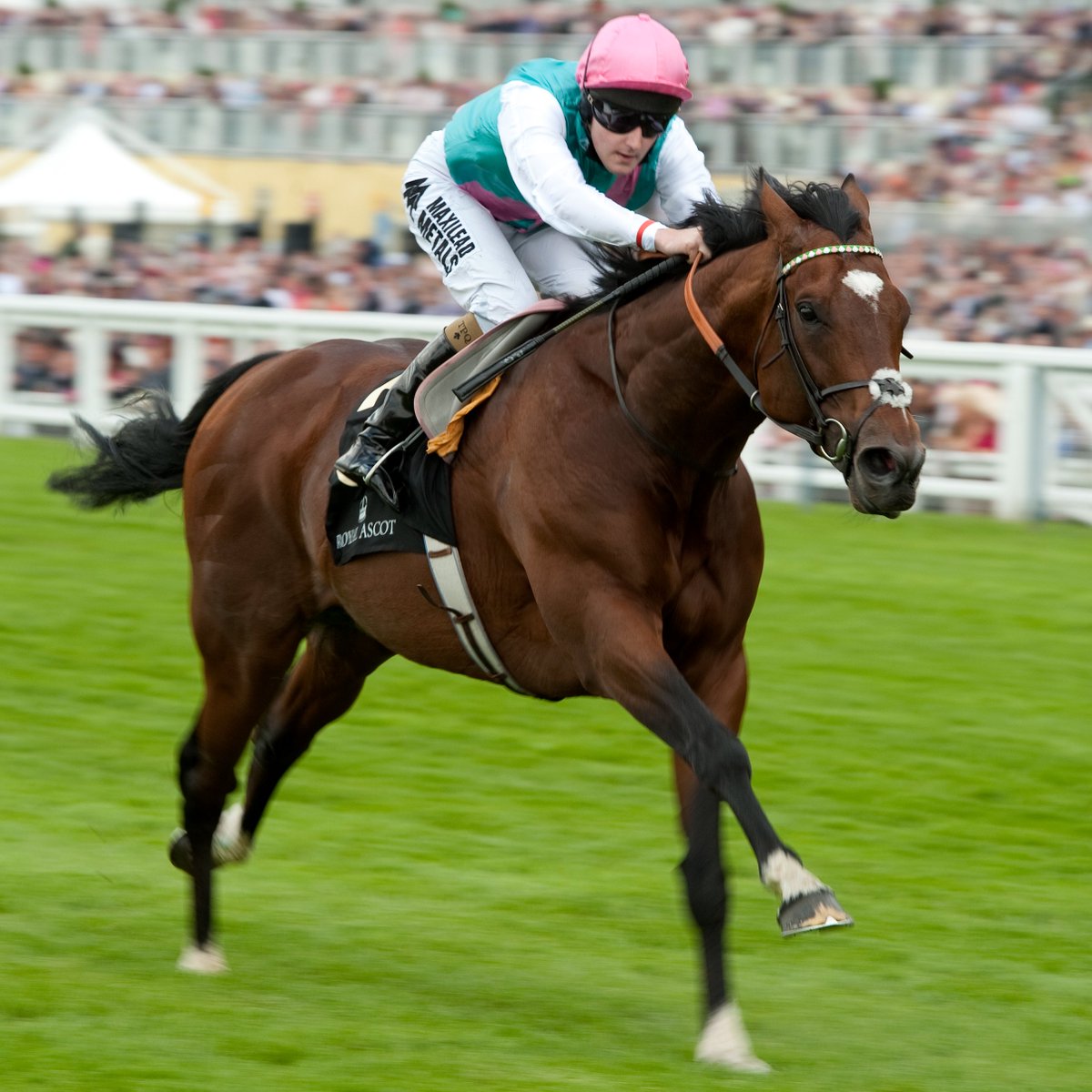 Racing Post tweet media