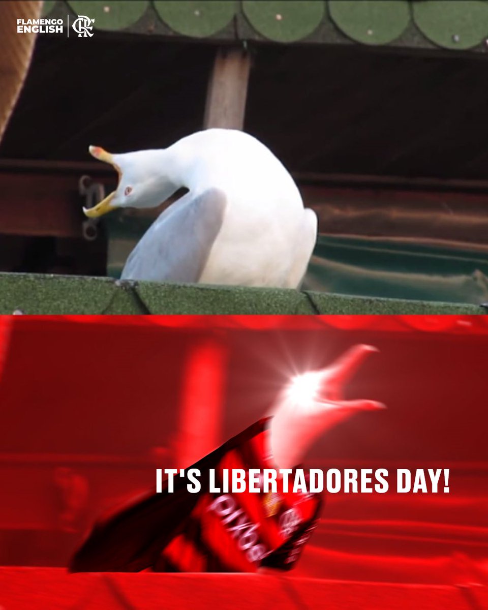 LOUDER FOR THE PEOPLE IN THE BACK 🗣️