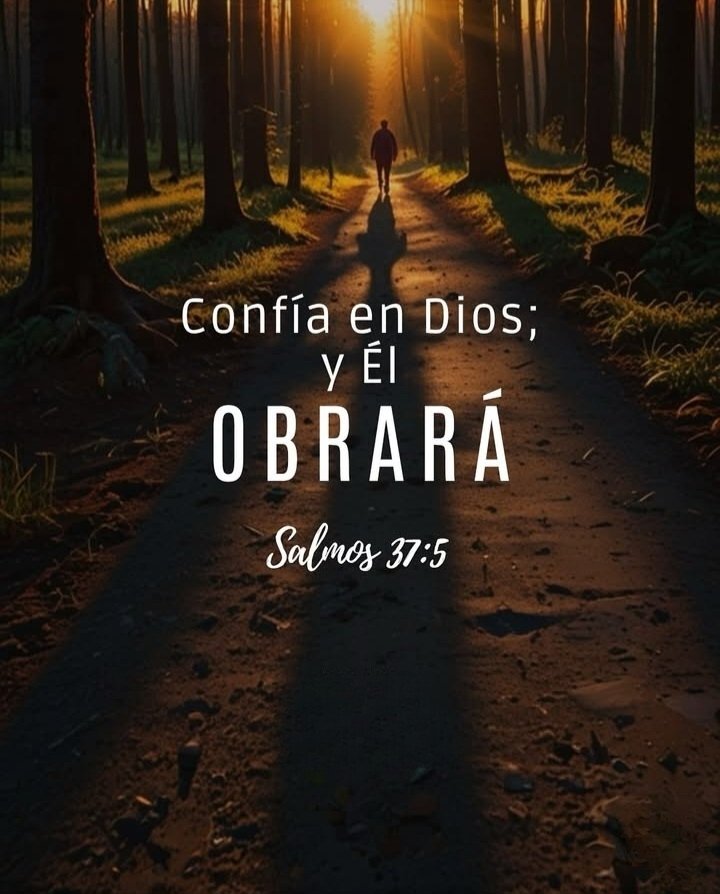 Tal vez intentaste todo y nada funcionó...

Hoy, Dios te dice:
"Encomiéndame tu camino, confía... y yo haré"

¡No necesitas tener todo bajo control, solo necesitas confiar!

#BuenosDías 🌞