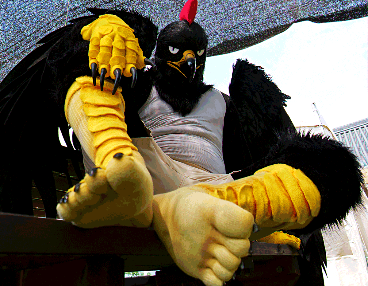 TAN🦅🔜Furst Class tweet media