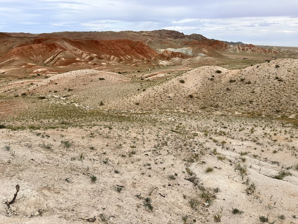 Dino_Chinzorig's tweet photo. DAY-2. #MADEx25 The long distance trip day to prospect the outcrops surrounding the area. The colors of the outcrops are pretty and also much promising. After 2 days work, there have a lot gone through that time b/c dino and mammal bones found within 40 km. #dinodig25 https://t.co/LWy3P6MWhr