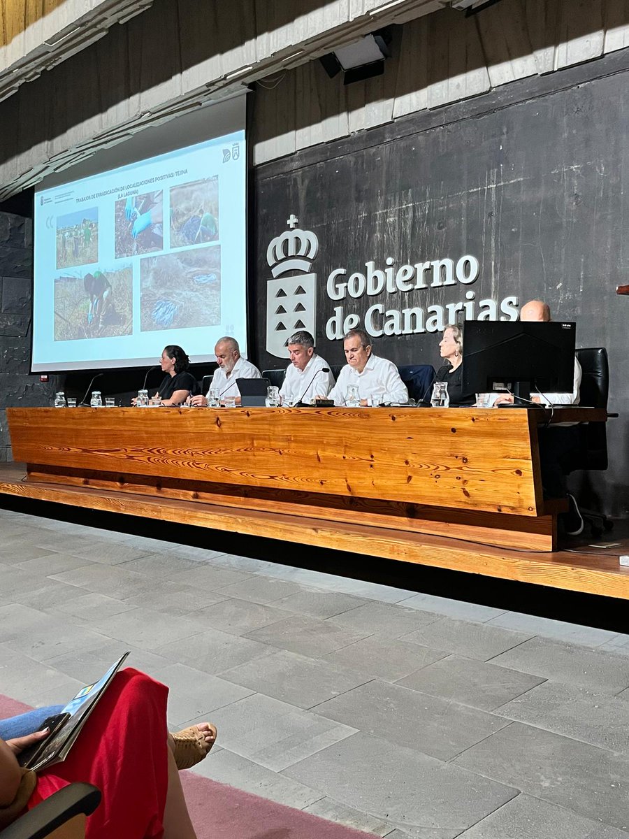 laradiocanaria's tweet image. 🟠 El consejero de @AGRI_Gobcan, Narvay Quintero, se reúne con responsables públicos y representantes del sector para tratar los focos de filoxera en Tenerife.

📹 @CarolinaArmas 

📻 #InformativosLRC 
📡 rtvc.es/la-radio-canar…