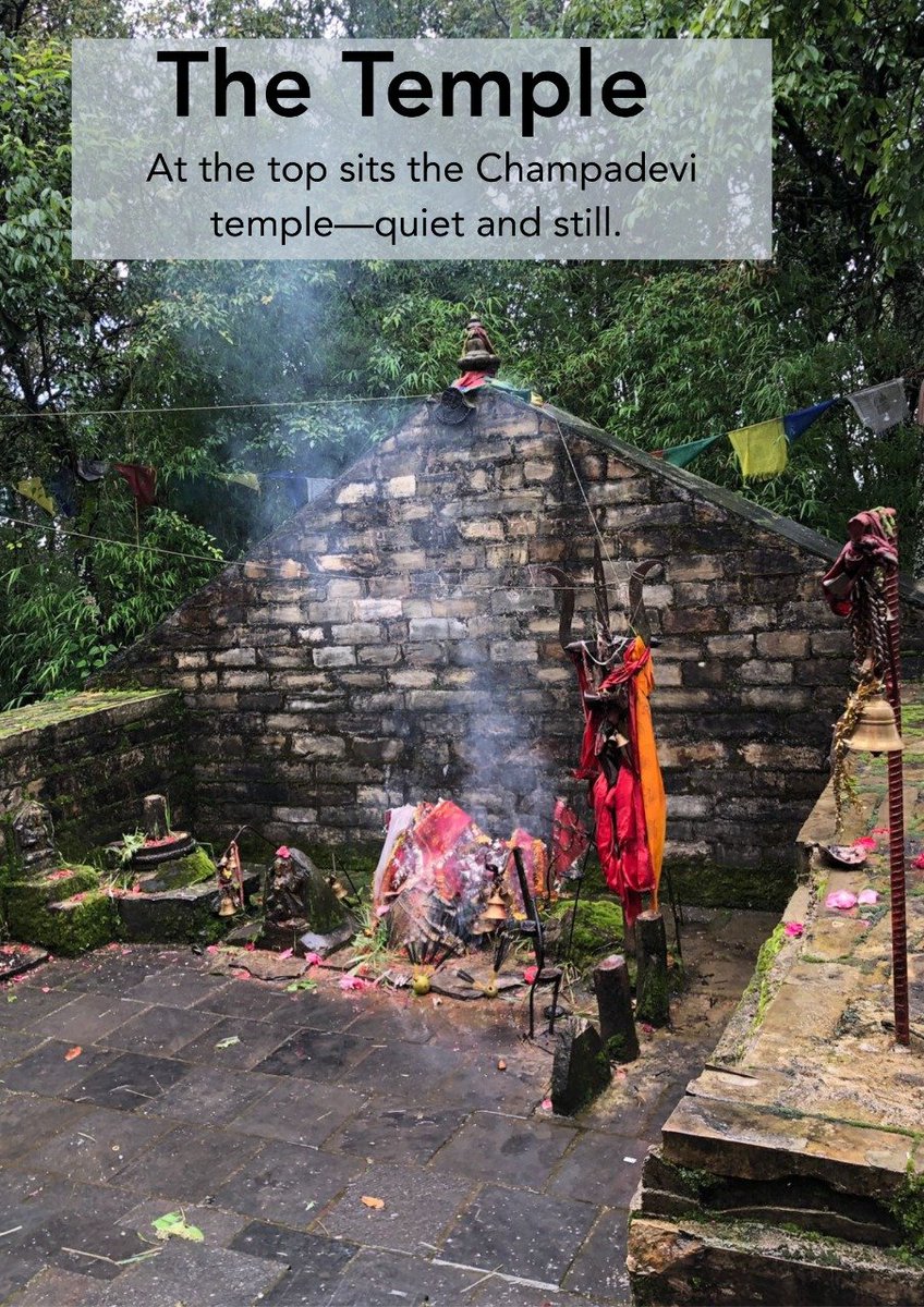 Trekking Guide Team (@trekking_guide1) on Twitter photo Looking for a short, peaceful hike close to nature?
Join our champadevi hike! 🚶♂️
WhatsApp: +977 9851229400
nepalguidetrekking.com
info@nepalguidetrekking.com
#champadevihike #shorthike #nature #scenic #hiking #nepal Looking for a short, peaceful hike close to nature?
Join our champadevi hike! 🚶♂️
WhatsApp: +977 9851229400
nepalguidetrekking.com
info@nepalguidetrekking.com
#champadevihike #shorthike #nature #scenic #hiking #nepal