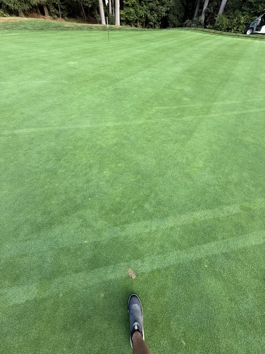 Whoever did this divot on my 4th green took after themselves … small!