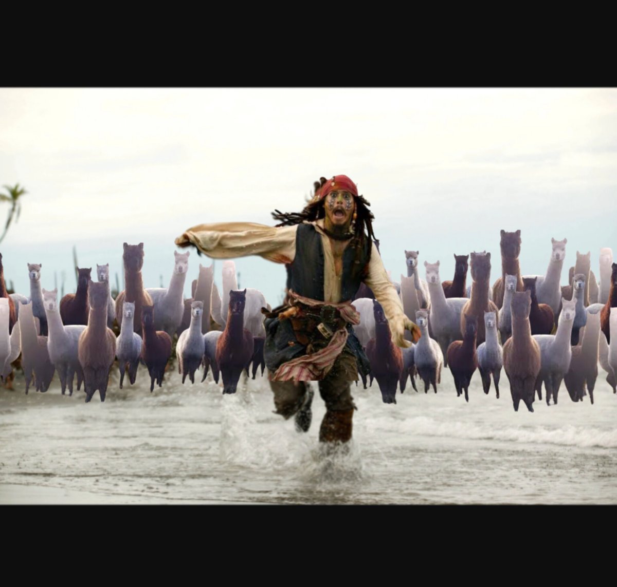 🏴‍☠️🦙𝕵𝖊𝖓𝖊 𝕾𝖚𝖎𝖘 𝕻𝖆𝖘 𝕭𝖊𝖙𝖊🦙🏴‍☠️ tweet media